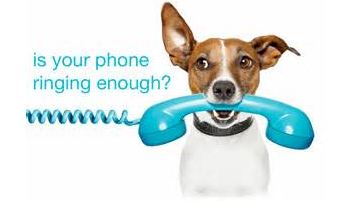 DOG ON PHONE